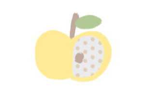 りんごの断面-黄